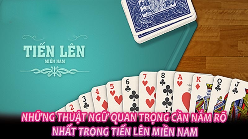 Thuật ngữ mà thành viên cần nắm trước khi chơi game